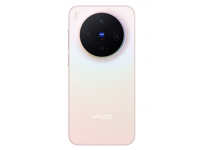 vivo X300